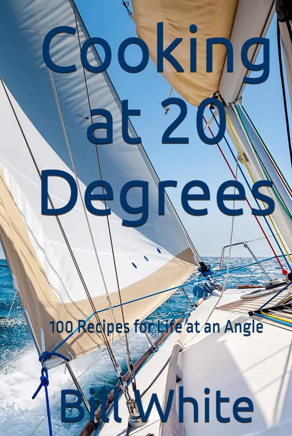 Cooking at 20 Degrees: 100 Recipes for Life at an Angle