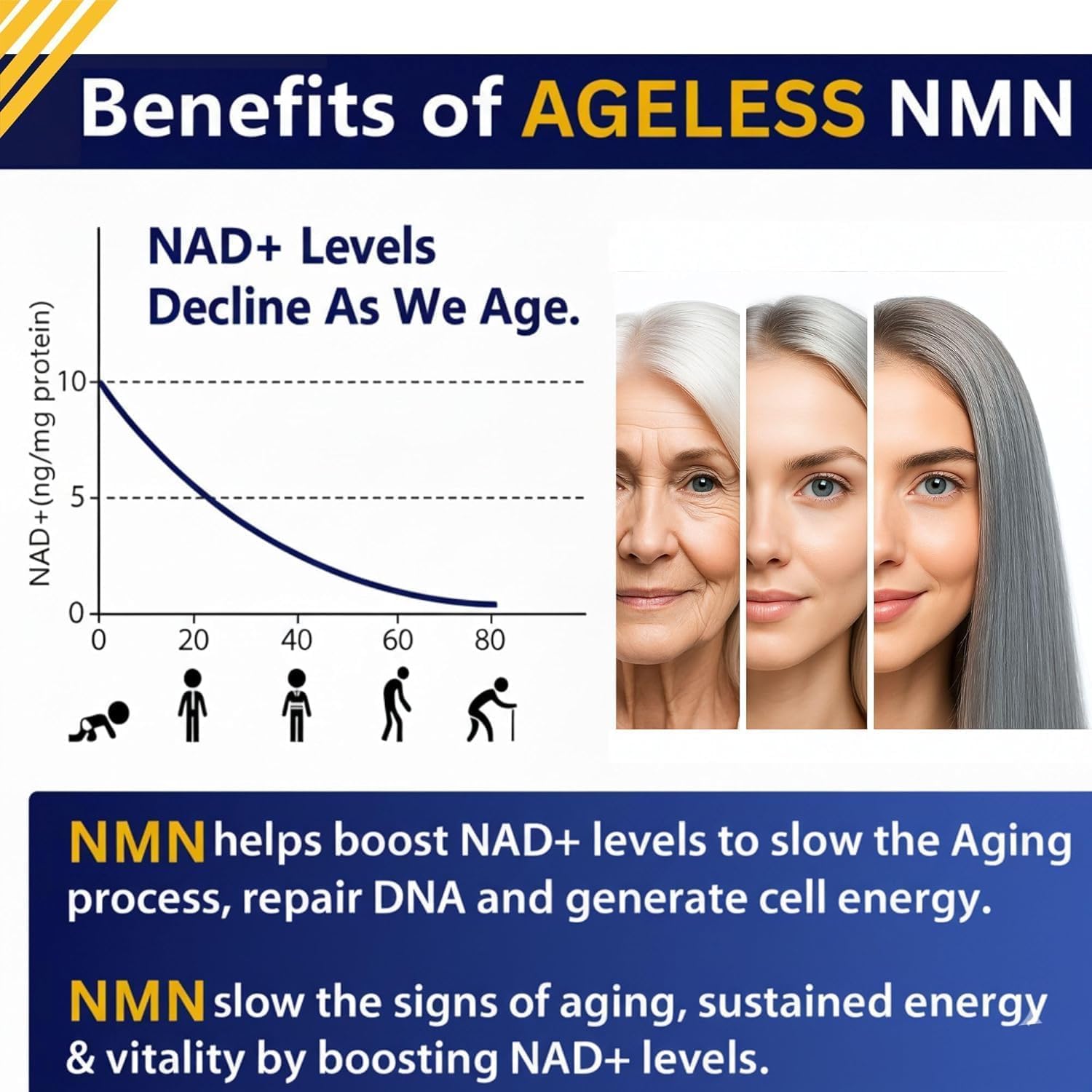 Ageless NMN 500mg | Healthy Aging Supplement for Women & Men | 30 Caps — Amazon image 3