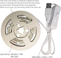 Vista 2 de RUICHEN Guirnalda de luces USB de 33 pies, 100 luces LED con interruptor de encendido/apagado (naranja, paquete de 2)