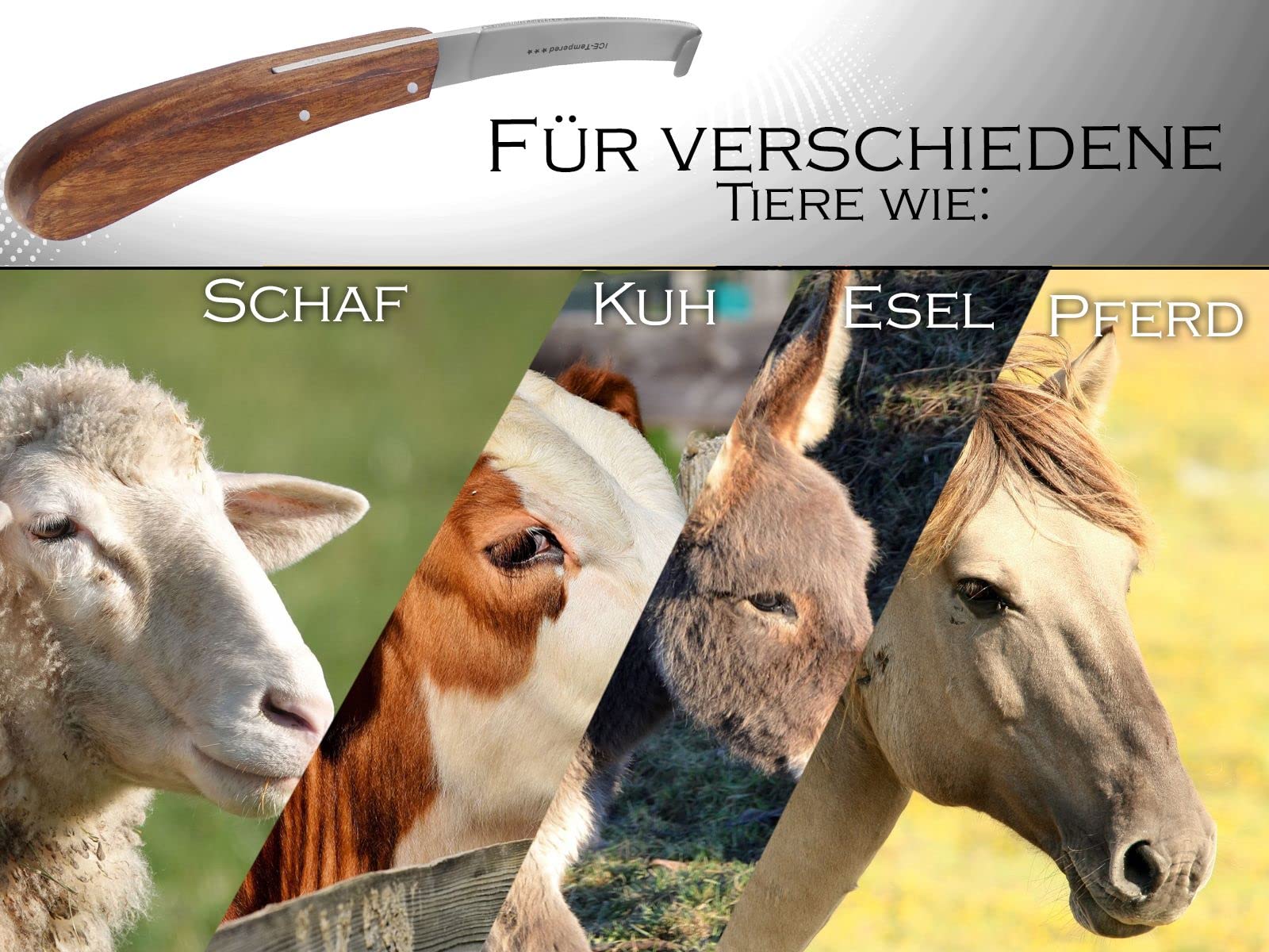 Pferde Hufmesser 7er Set Schlaufenmesser Klauenmesser Hufschneidemesser