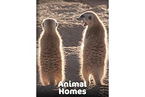 Animal Homes: Uncover the Amazing World of Animal Architecture