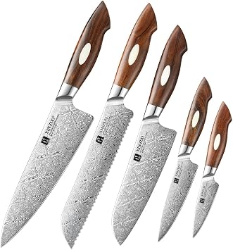 XINZUO 5PCS Chef Knife Set,110 Layers Damascus Steel Chef Santoku Utility Paring Bread Kitchen Knife Set with Ergonomic North America Desert Iron Wood Handle,Exquisite Box Package