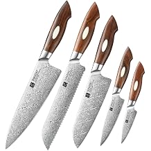 XINZUO 5PCS Chef Knife Set,110 Layers Damascus Steel Chef Santoku Utility Paring Bread Kitchen Knife Set with Ergonomic North America Desert Iron Wood Handle,Exquisite Box Package