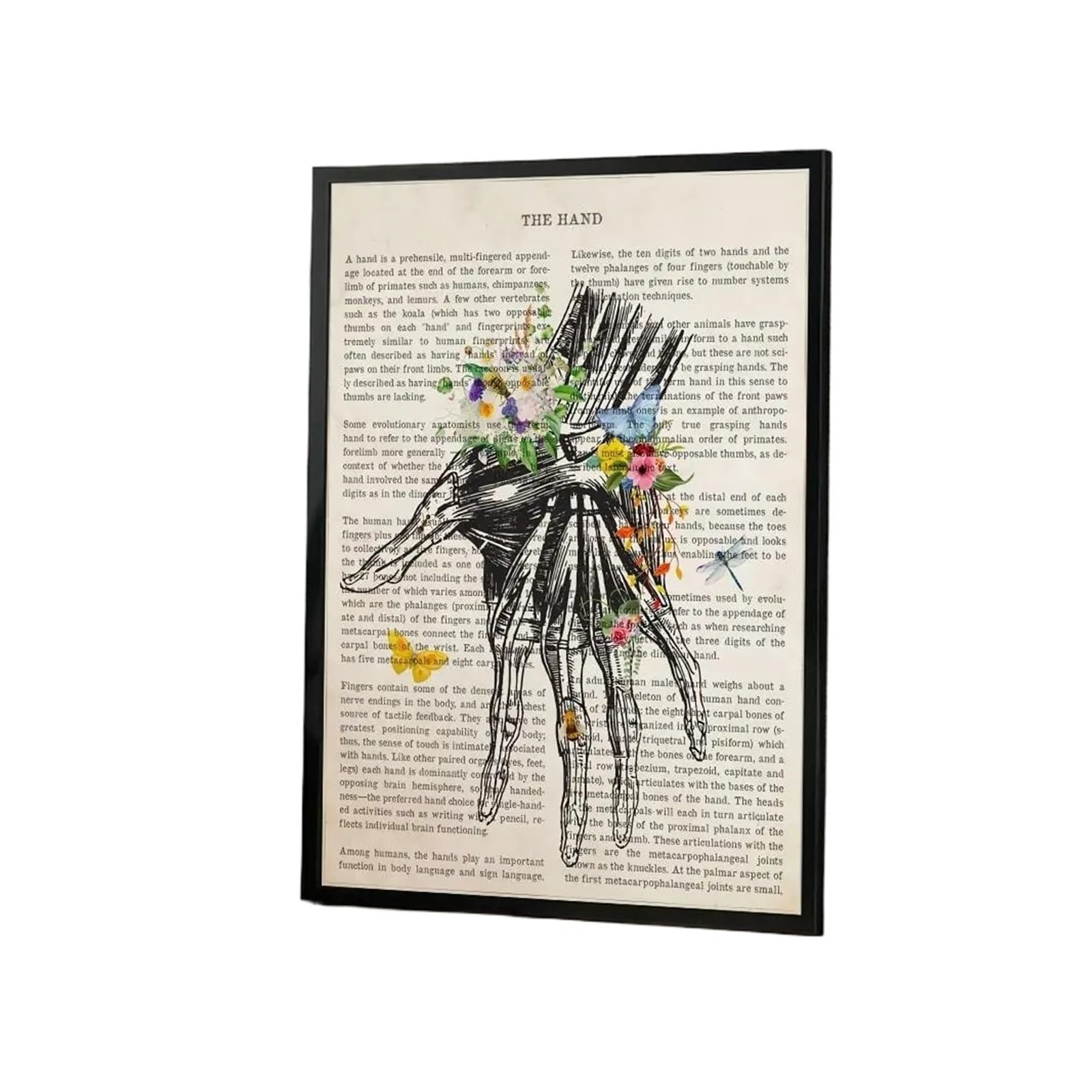 Póster Autoadhesivo De Anatomía Órganos Y Flores for Sala Juegos, Dormitorio, Pasillo, Arte La Pared Decoración Del Hogar, Regalo, 1 Ud(White9,60X90cmNoframe)