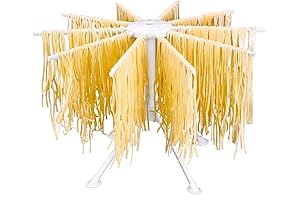 Collapsible Clothing Rack, 10 Arm Foldable Noodle Dryer Hanger
