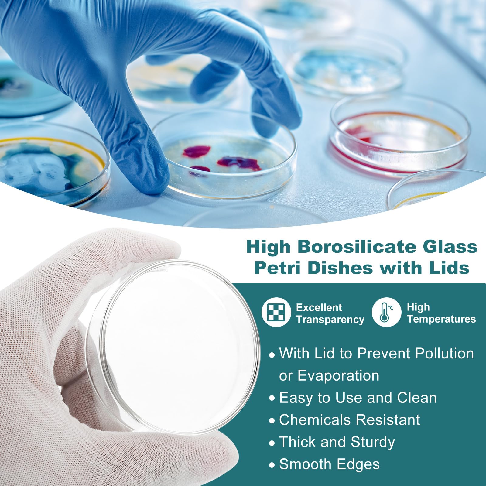 Glass Petri Dishes - 10 Pack for Lab Experiments -3