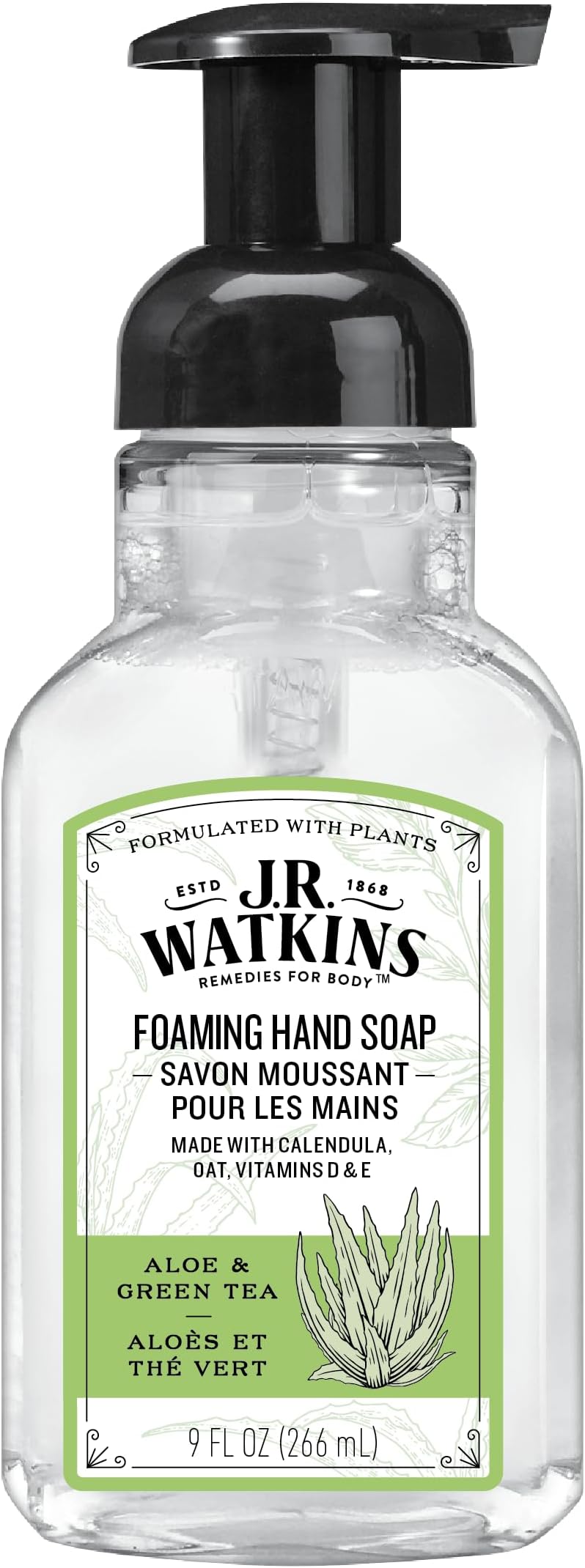J.r. Watkins Foaming Aloe & Green Tea Hand Soap(6x9 Oz)