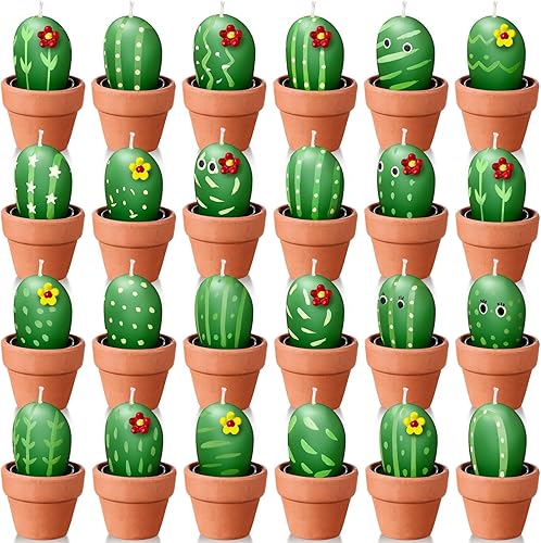 Shihanee Paquete de 24 velas suculentas de cactus a granel con maceta de terracota, arte novedoso, piedra suculenta y plantas de cactus, velas para