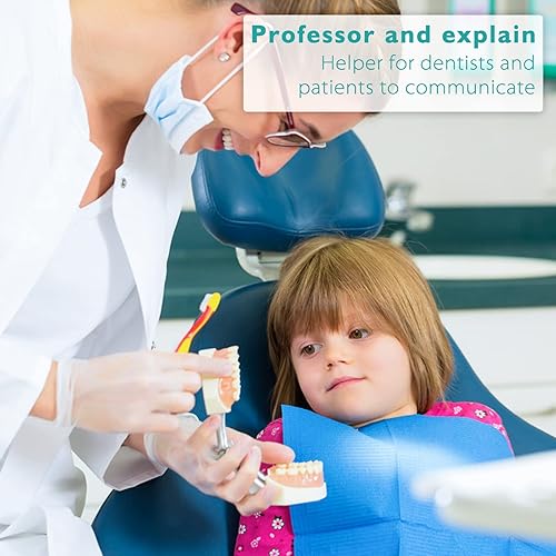 Miniatura 6 de Modelo de dientes Typodont para niños, modelo de dientes caducifolios estándar pediátrico con 24 dientes extraíbles compatibles con Kilgore Nissin