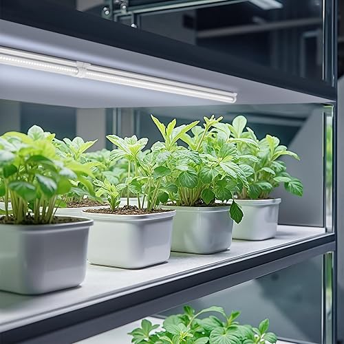 Miniatura 4 de Barrina Luces de crecimiento, 2 pies 5000 K blancas de espectro completo lámparas de cultivo de plantas, 144 W (6 x 24 W, equivalente a 800 W),