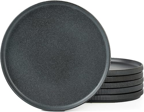 Famiware Star - Juego de platos llanos para 6, 10 pulgadas, resistentes a los arañazos, vajilla de cerámica, platos de cocina modernos y rústicos,