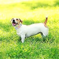 Vista 165 de Unique Style Paws - Collar rosa con hebilla de metal, duradero y lindo para perros pequeños a grandes