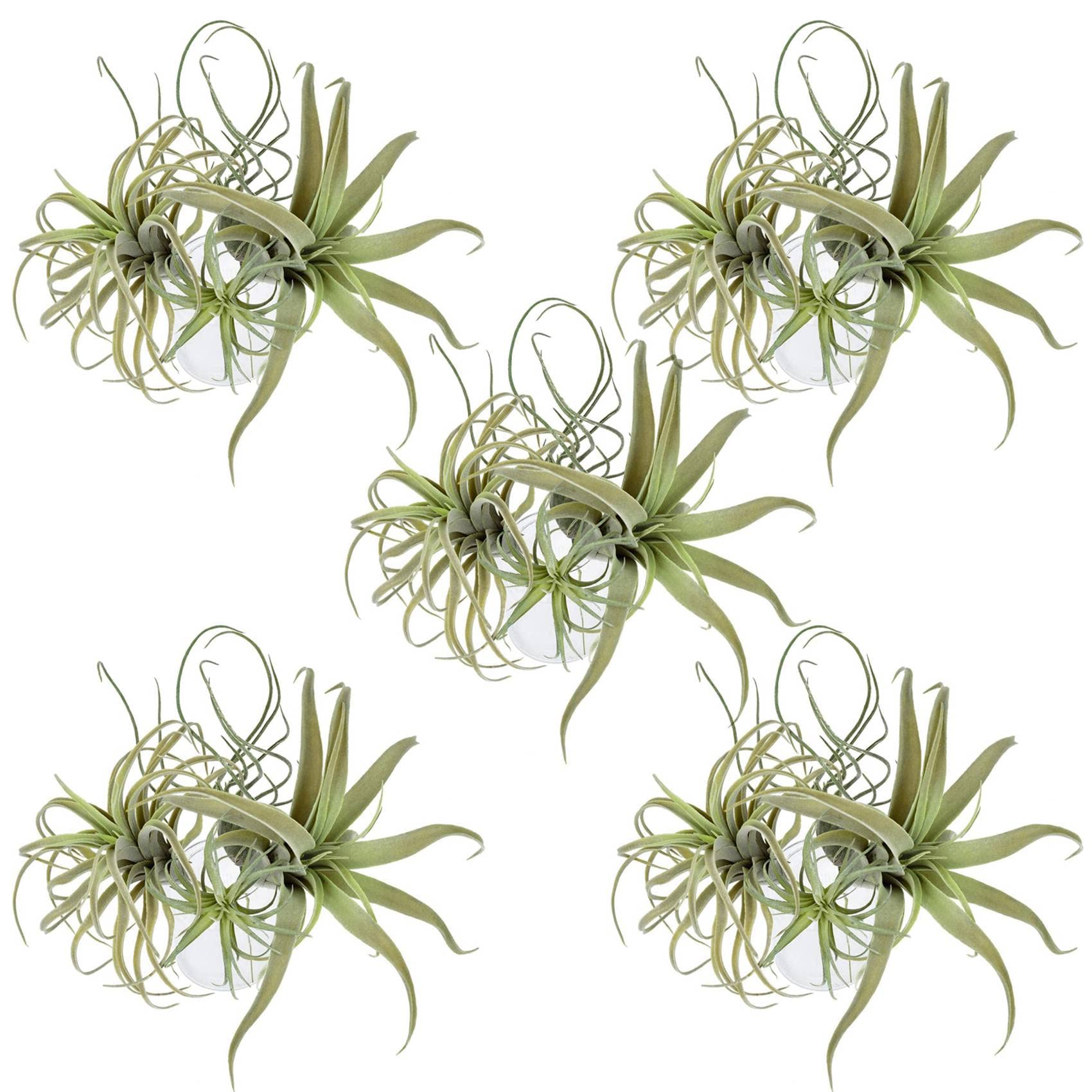 Hndhbfgrt 20Pack Artificial Pineapple Grass Air Plants Fake Flowers Faux Flocking Tillandsia Bromeliads Home Garden Decor