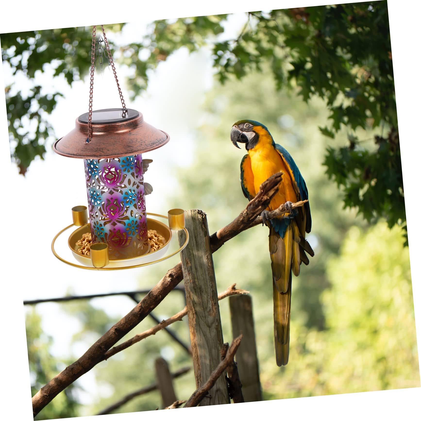 Mangiatoia Per Uccelli Selvatici Sospesa in Solare Decorativa Mangiatoia Multifunzionale Per e Patio Si Carica Durante e Si Accende Automaticamente Di Notte
