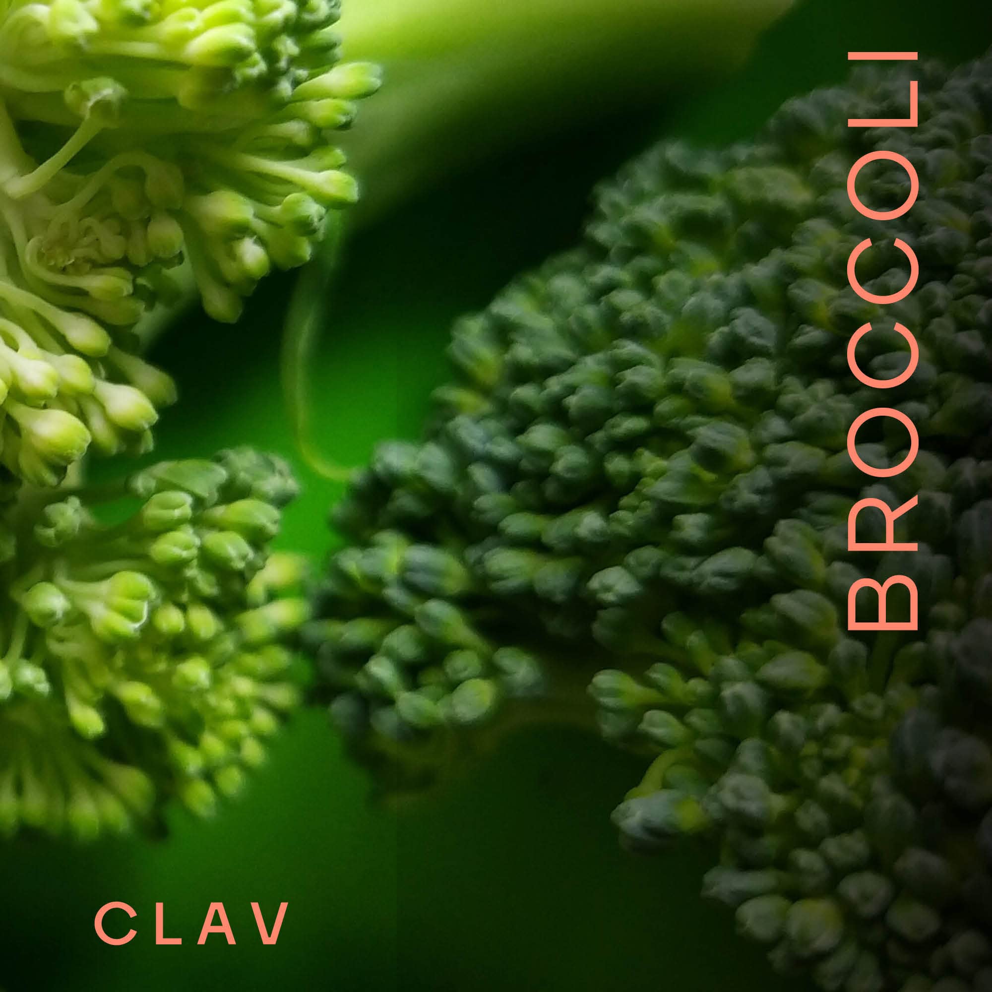 CLAV® Brokkoli Extrakt, Sulforaphan Hochdosiert, 180 Vegane Kapseln | Für Zellschutz, reich an Antioxidantien, Vitaminen & Mineralstoffen, aus Brokkolisprossen, Laborgeprüft, im Apothekerglas