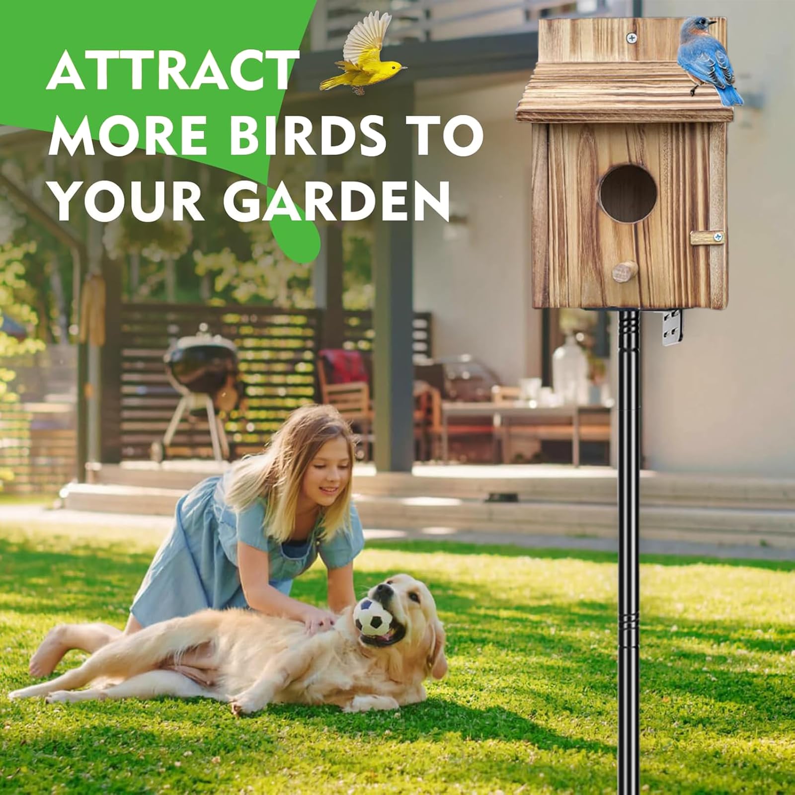 Casa Pajaros Exterior de Madera, Pajareras Exterior En Jardin, Caja de Madera para Colgar en el hogar, Resistente a la Intemperie, Nido CríA para Aves AmbientacióN con Orificio De Entrada
