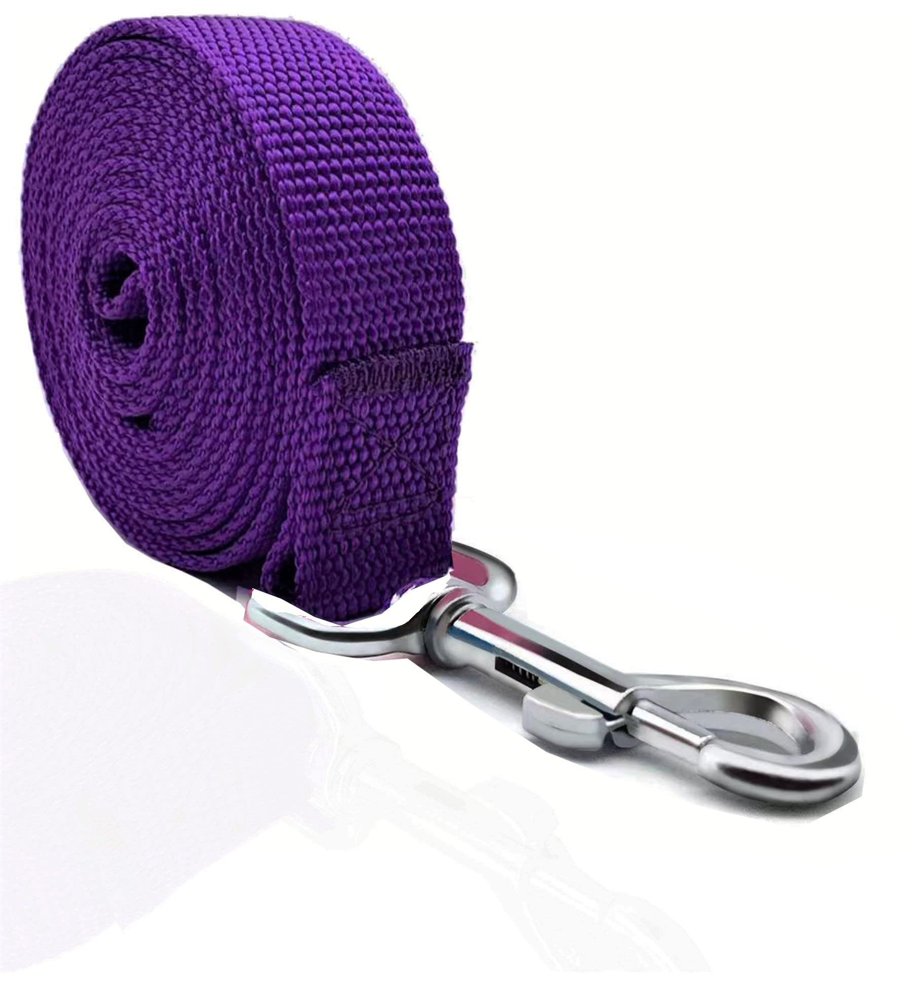 TAIAN 10 FT Strong Dog Leash – 1 Inch Wide Nylon Leash For Small, Medium & Large Dogs