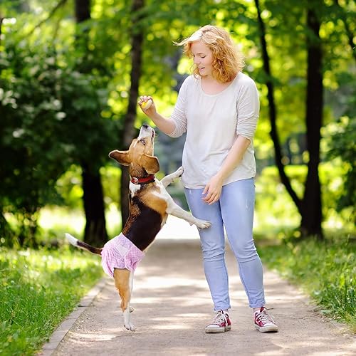 Miniatura 8 de Pet Soft Pañales para perros femeninos  Pañales desechables para perros, pañales para gatos hembras, pañales para cachorros con orificio de cola de