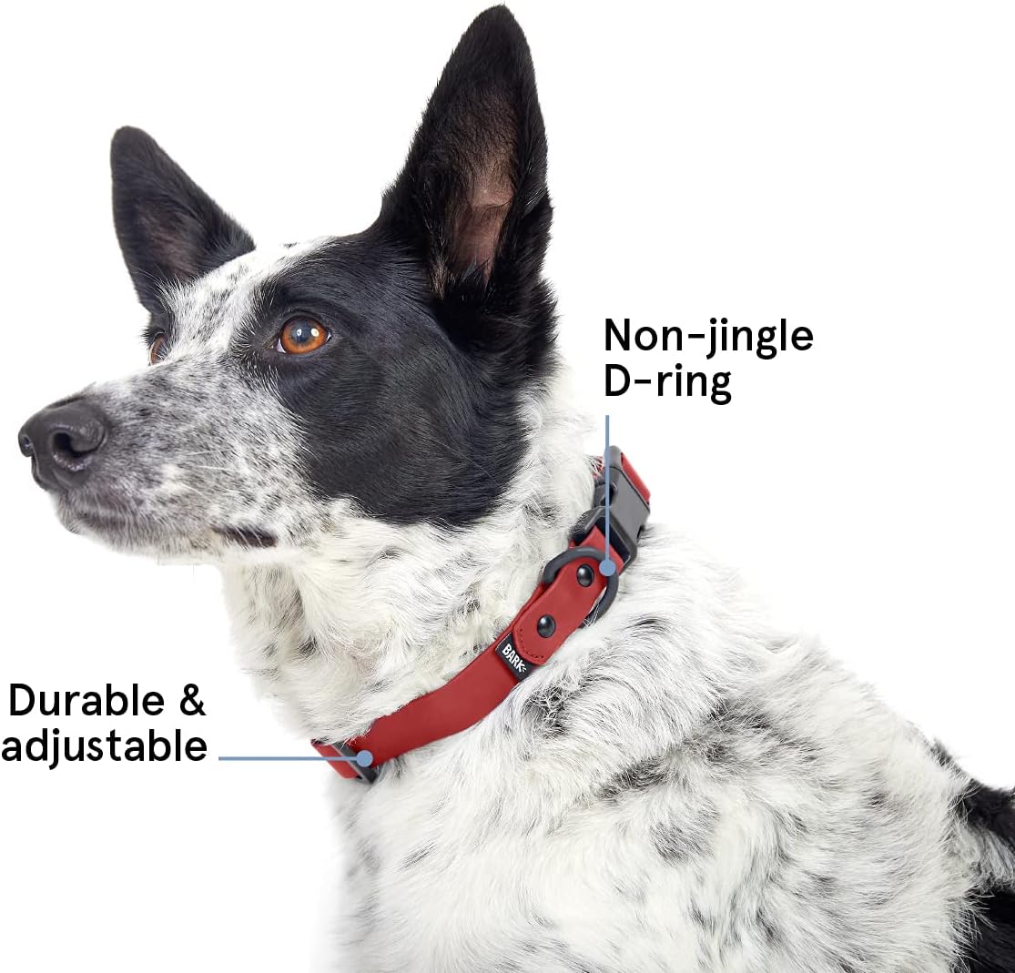 BarkBox Odor Proof & Waterproof Dog Collar - Adjustable Size for Puppies & Adult Dogs - Medium - Red