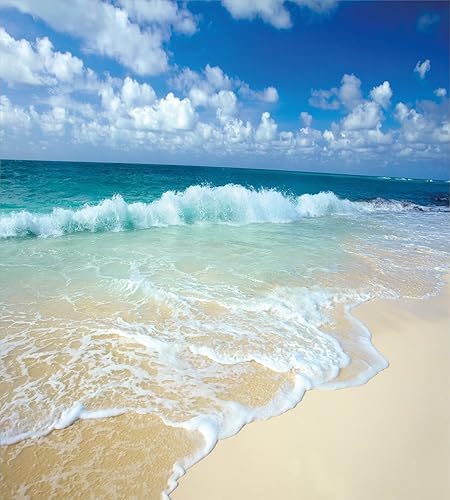 Miniatura 89 de Ambesonne Juego de funda de edredón de brújula, ilustración de mapa del mundo, marinero marítimo, equipo de vida monocromático, juego de ropa