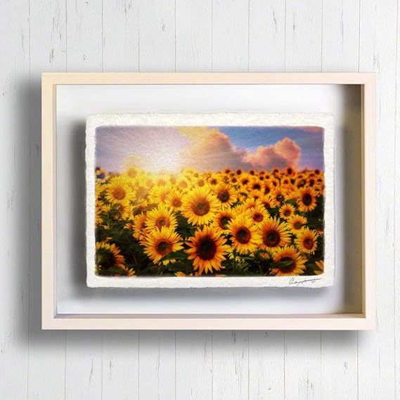 一流の品質 夏 黄色 花 44x31cm フレーム アート 和紙 太陽とひまわり畑の丘とカラマツの木 インテリアアートパネル ポスター 風景画 モダン アートパネル 壁飾り 壁掛け おしゃれ インテリア 絵画 絵 玄関 風水 アートパネル アートボード 一流の品質 夏 黄色 花 44x31cm フレーム アート 和紙 太陽とひまわり畑の丘とカラマツの木 インテリアアートパネル ポスター 風景画 モダン アートパネル 壁飾り 壁掛け おしゃれ インテリア 絵画 絵 玄関 風水 アートパネル アートボード