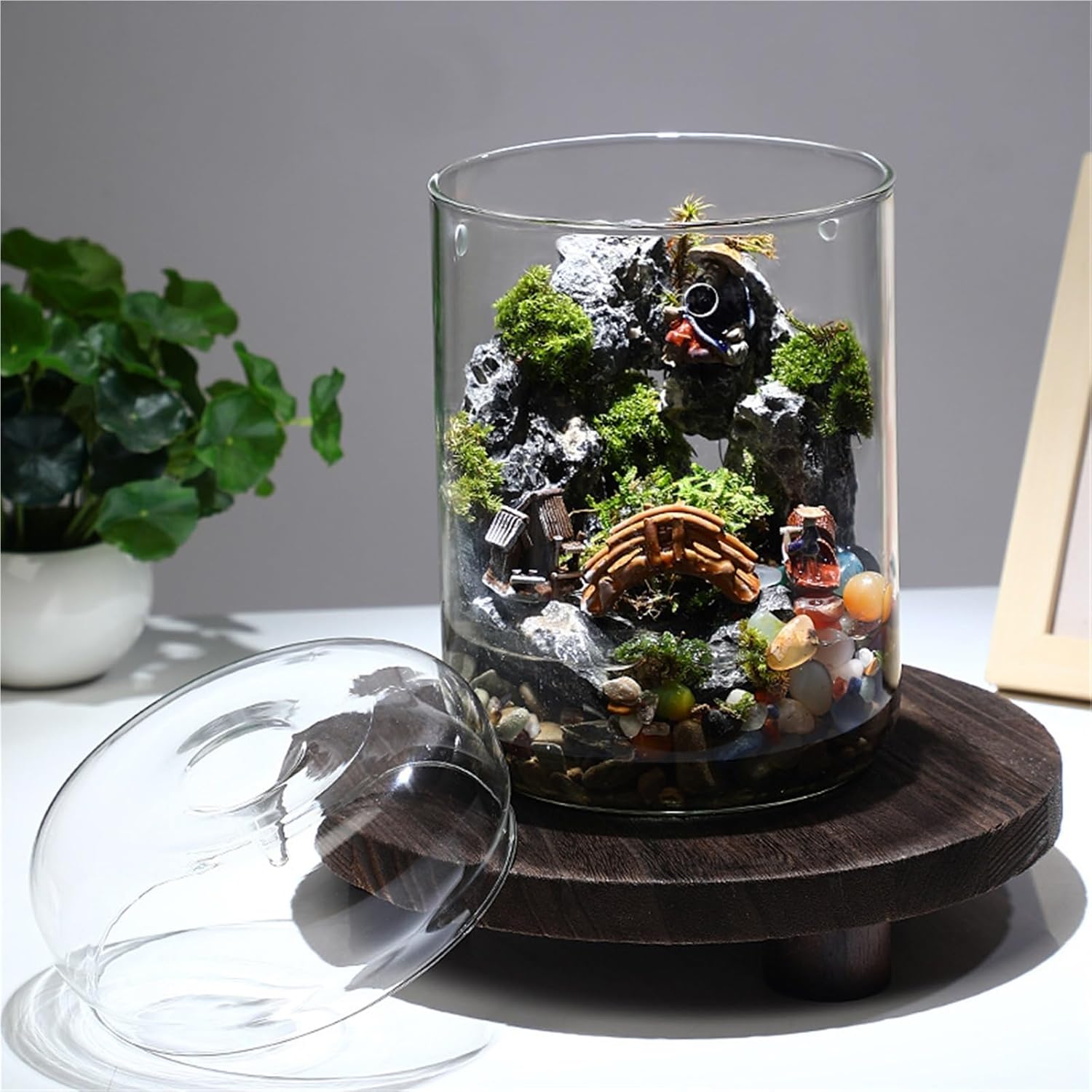 DIY Glass Terrarium Kit for Air Plants Moss Create Unique Micro Landscape Displays, Perfect for Home Décor, Office Desk, Or Café Tabletop​(X-Large)