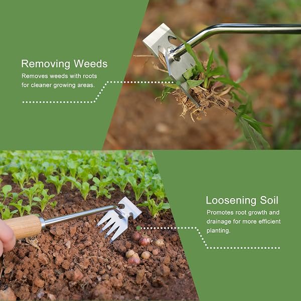 Orelex Unkrautstecher, Unkrautjäter aus Edelstahl mit Holzgriff, Robuste Gartenhacke zum Entfernen von Unkraut & Auflockern des Bodens - Praktisches Gartenwerkzeug - 5