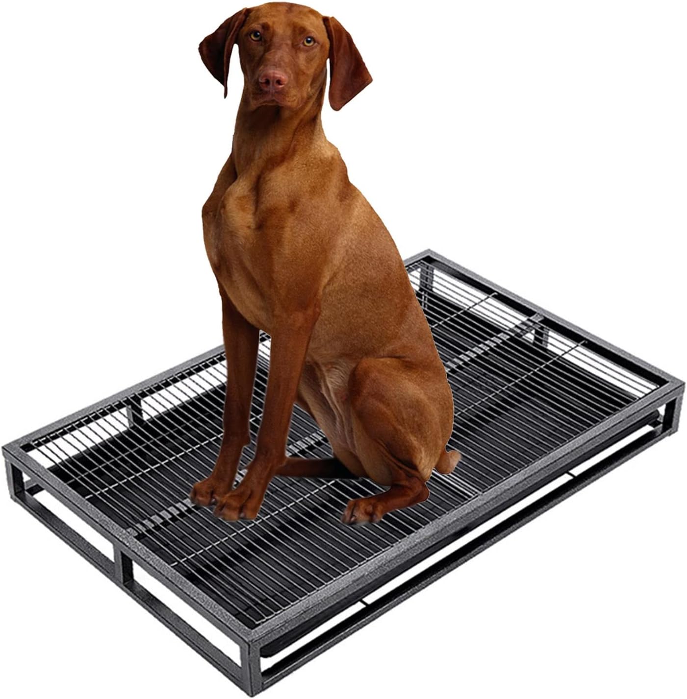 HORV Dog Litter Box Indoor Pet Potty Tray Small and Medium