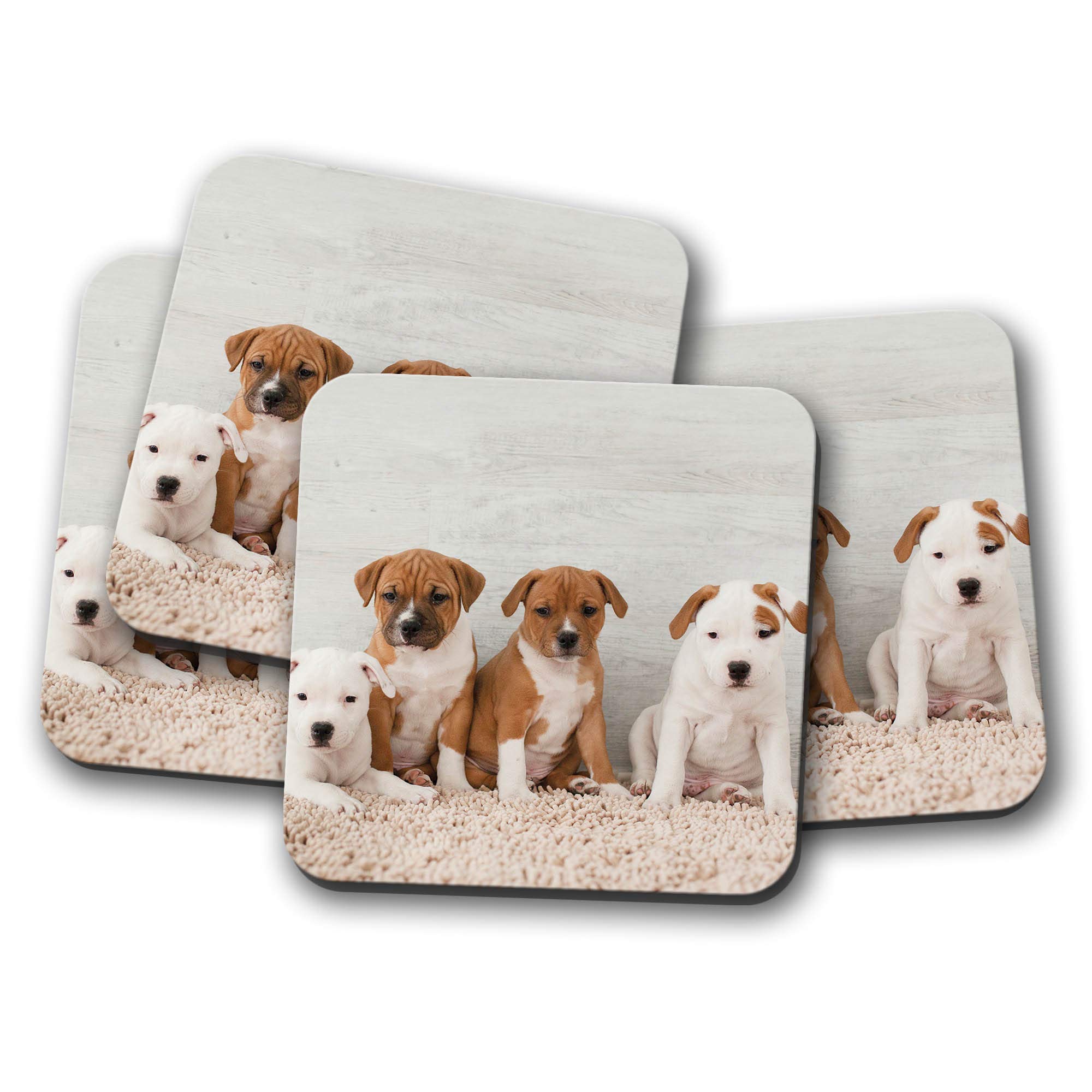 Destinationvinyl Multicolor 4 Set - Cute Staffy Puppies Coaster - Dog Puppy Pit Bull Terrier Fun #8638