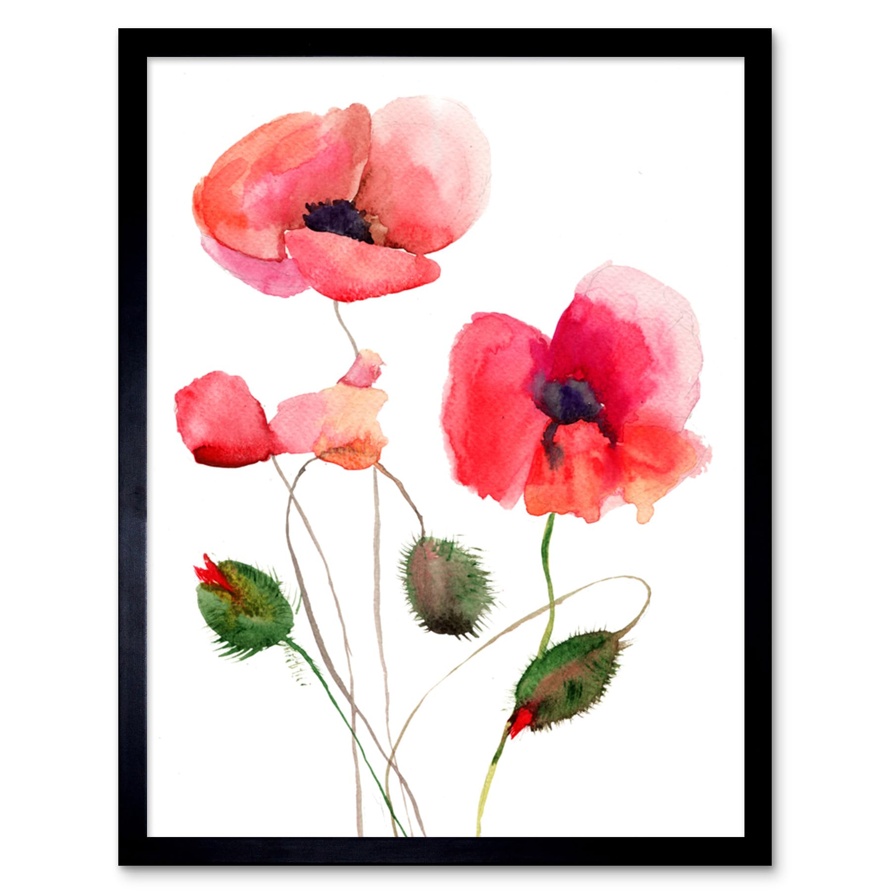 Wee Blue Coo Flower Poppies Watercolour Art Print Framed Poster Wall Decor 12X16 Inch