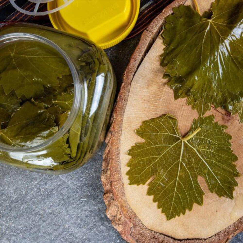Manisa Pickled Leaf 1 lb