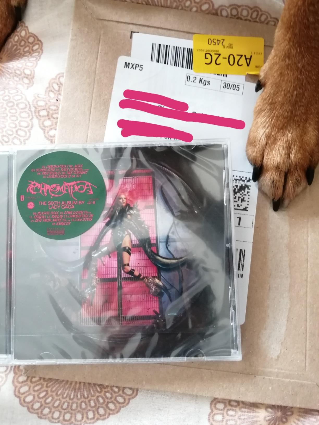 Se Born This Way e Artpop avessero un figlio...