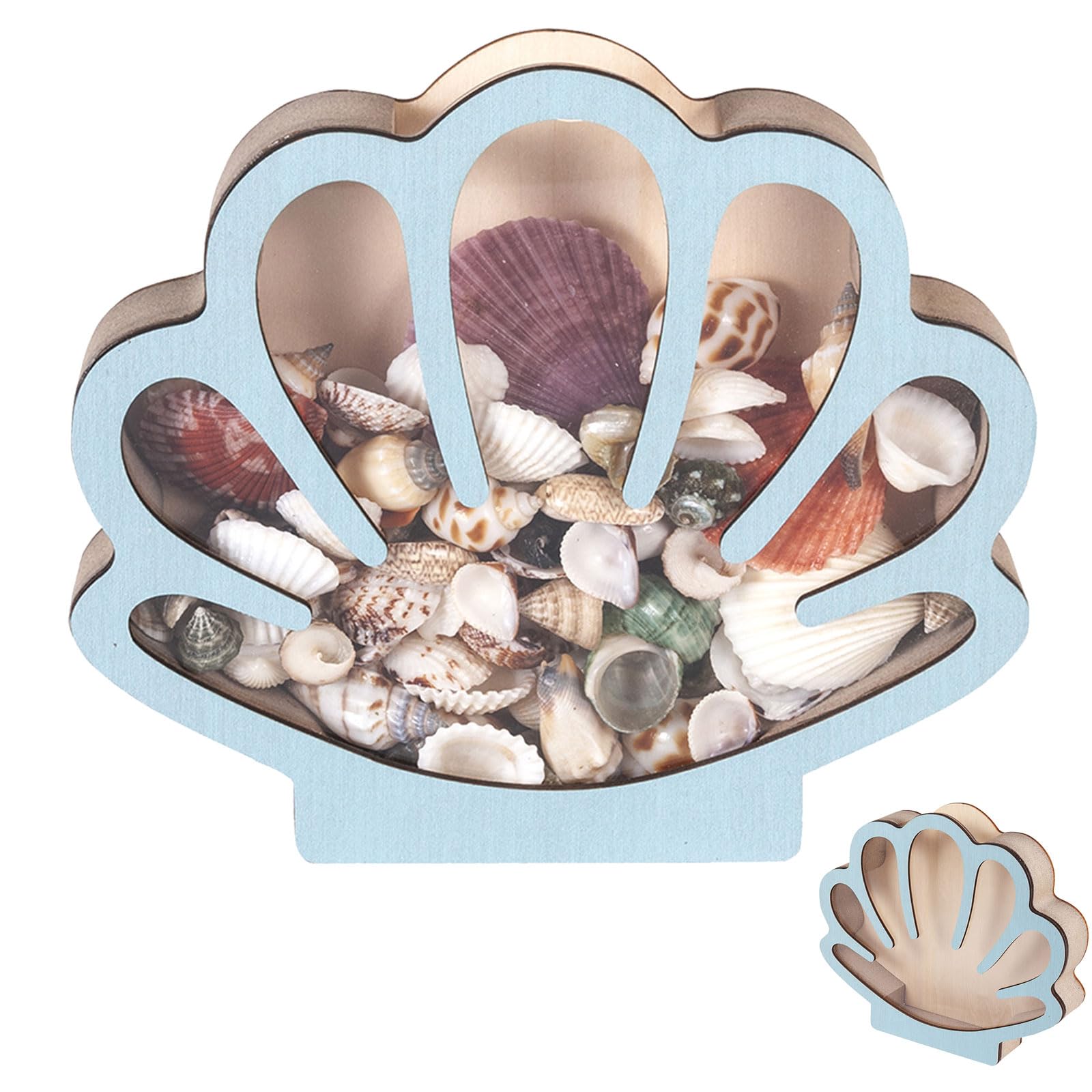 BOSTEU Wooden Seashell Display Case with Acrylic Panel, Beach Sea Shell Storage Box Holder for Collectors Memory Keepsake Box (blue)