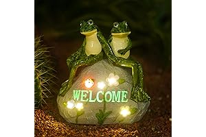 Nacome Solar Garden Outdoor Statues Frog with Succulent and 7 LED Lights