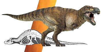 ライフモデルシリーズ T.rex ティランノサウルス (PVC塗装済み完成品) Amazon | ライフモデルシリーズ T.rex ティランノサウルス (ノン