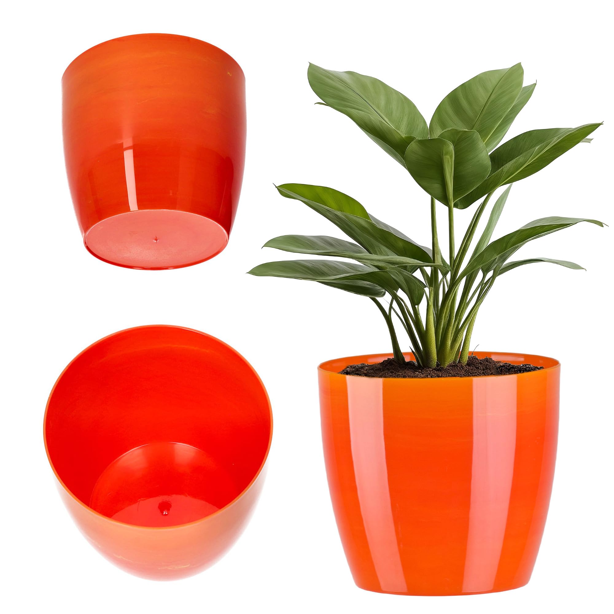 KADAX Maceta con Plato y Plato para Cactus, helechos (30 cm, Rosa) — view 20