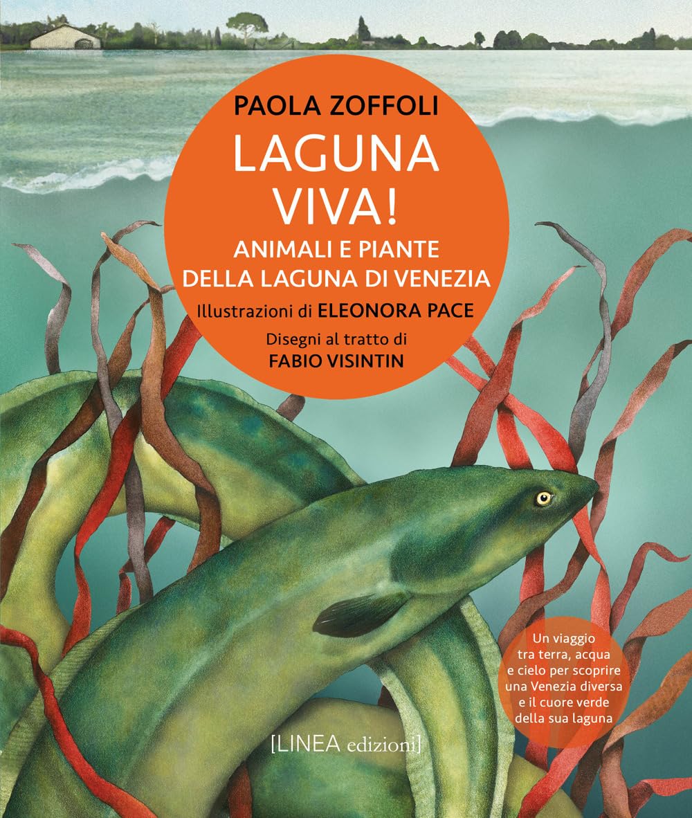 Laguna Viva! Animali, Piante E Habitat Della Laguna Di Venezia. Ediz. Illustrata - 4