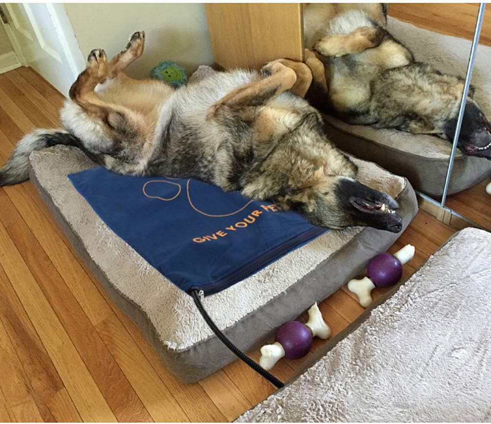 Pet Heating Pad for Cats Dogs,Waterproof Electric Heating Bed Mat,Temperature Adjustable, Animal Bed Warmer House Heater Heated Floor Mat, Pet Warming Mat Indoor (50X50cm)
