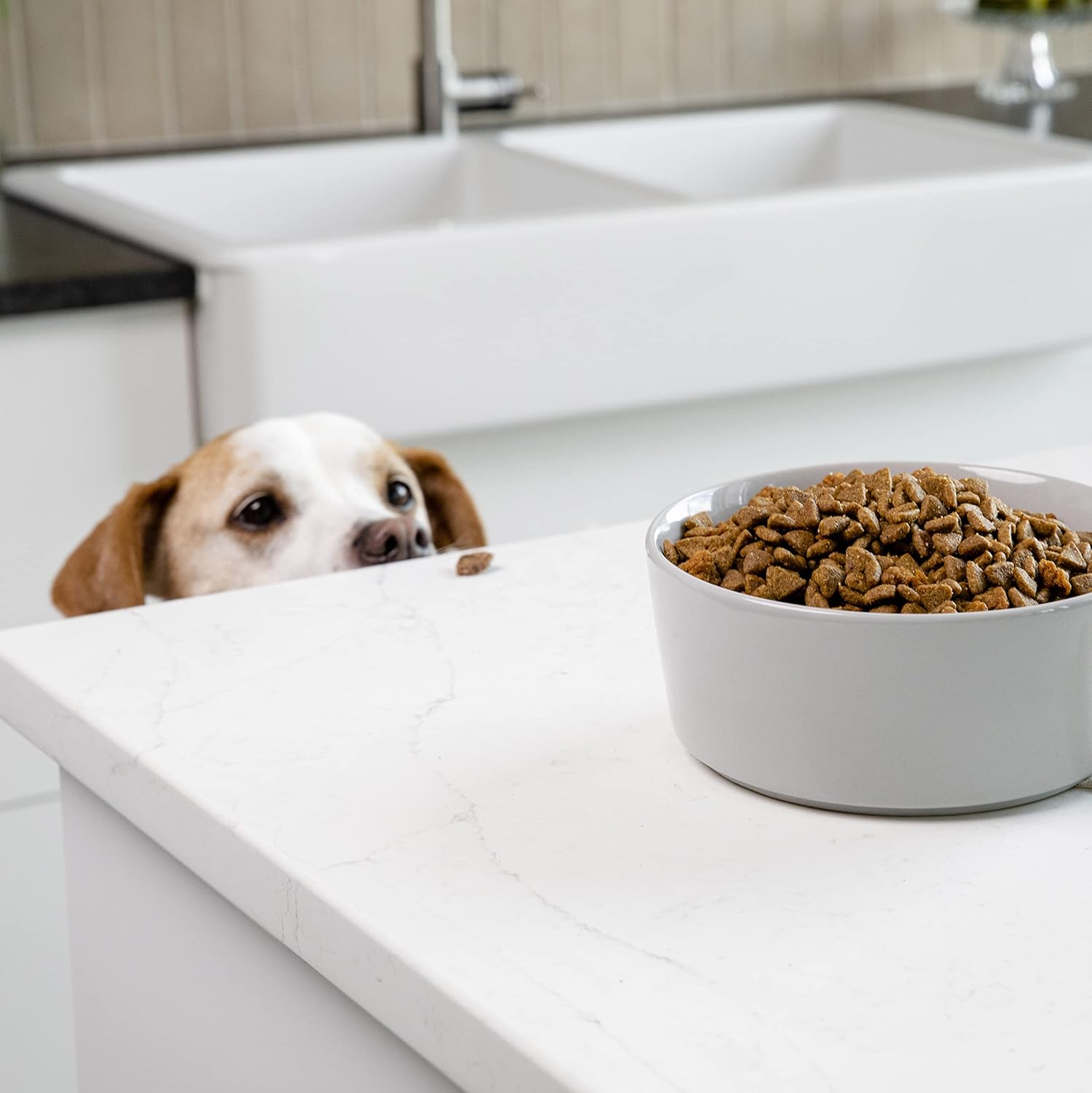 Medium Mint Ceramic Dog Bowl