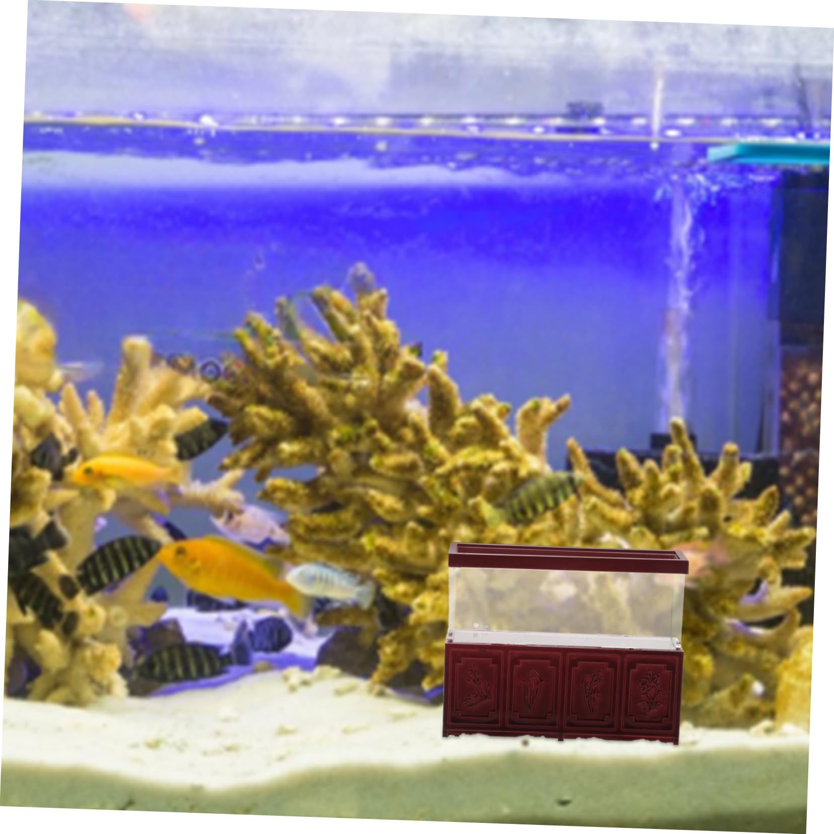 5pezzi Miniature Fish Tank Desk Ornament Decorazione Retro e Accessori Per Accogliente