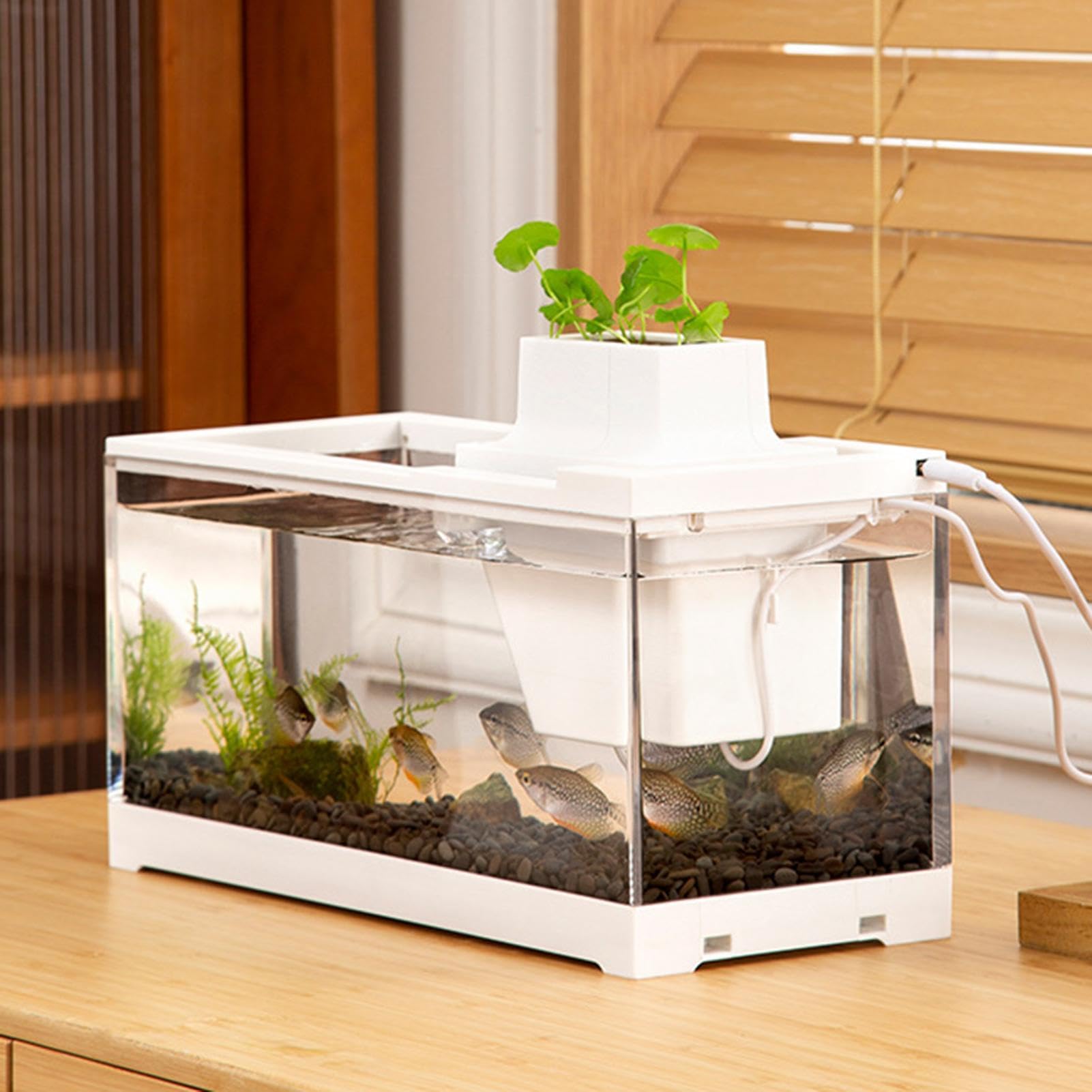 Acuario de Escritorio, pecera de Escritorio Mini Acuario pequeño, Abierto, | con bomba de agua Mini acuario para escritorios, estantes, dormitorios, salas de estar.