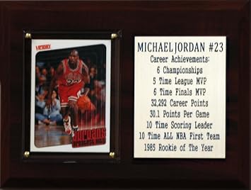 NBA Chicago Bulls Michael Jordan Career Stat Plaque