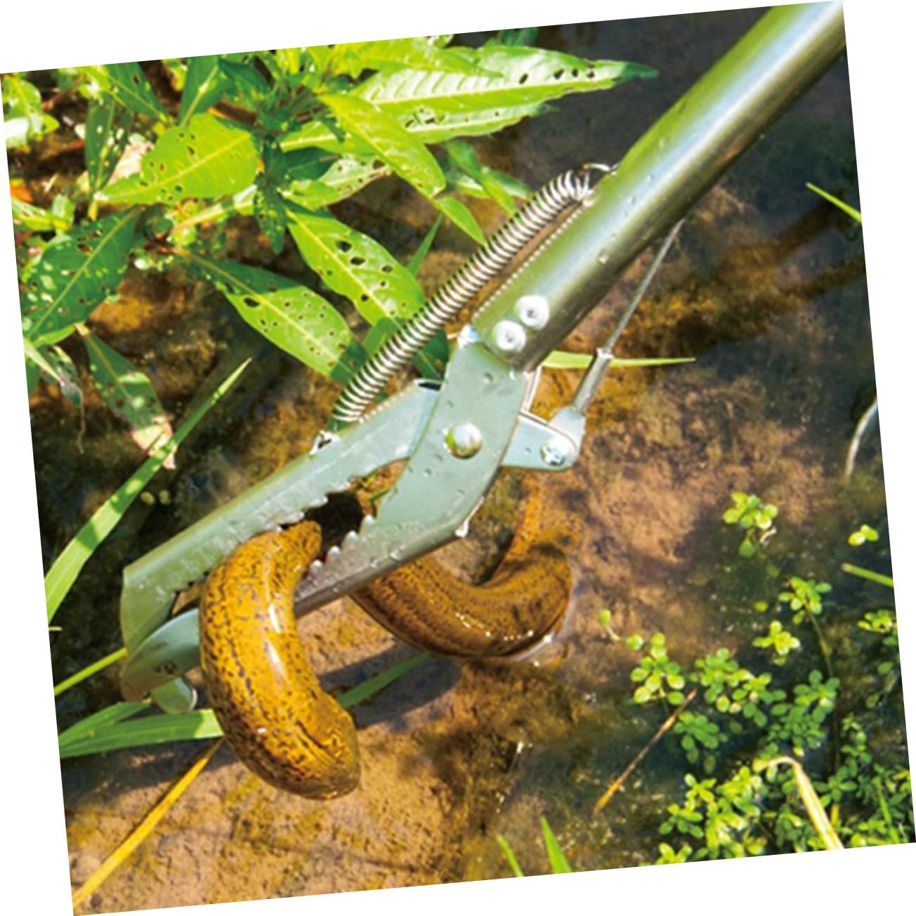 Pinza Per Anguille in Acciaio Inossidabile Antiscivolo Spessa, Clip Multifunzione Per Barbecue, Utensile Leggero Portatile Per Cucina e Pesca All’aperto