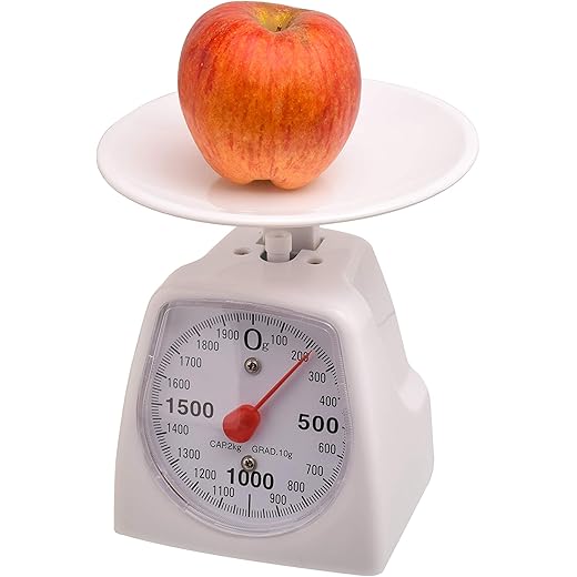 LABZIO Analog Weighing Scale 2Kg