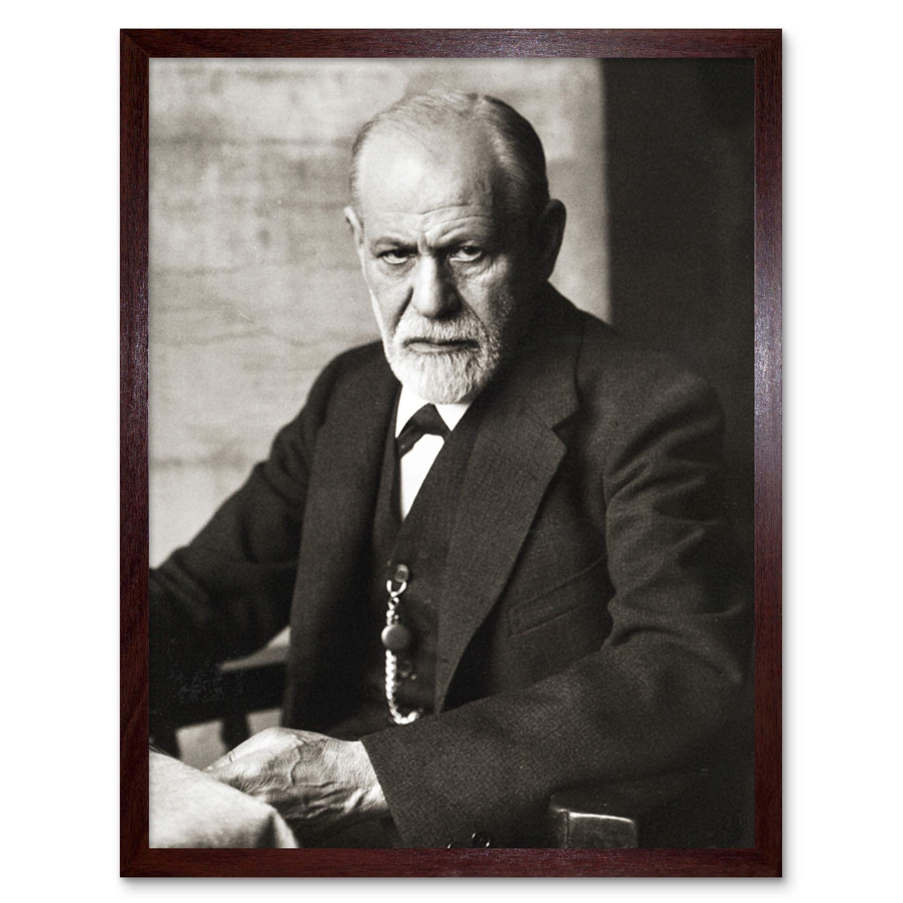 Portrait Psychoanalyst Neurologist Sigmund Freud Photo Art Print Framed Poster Wall Decor 12x16 inch