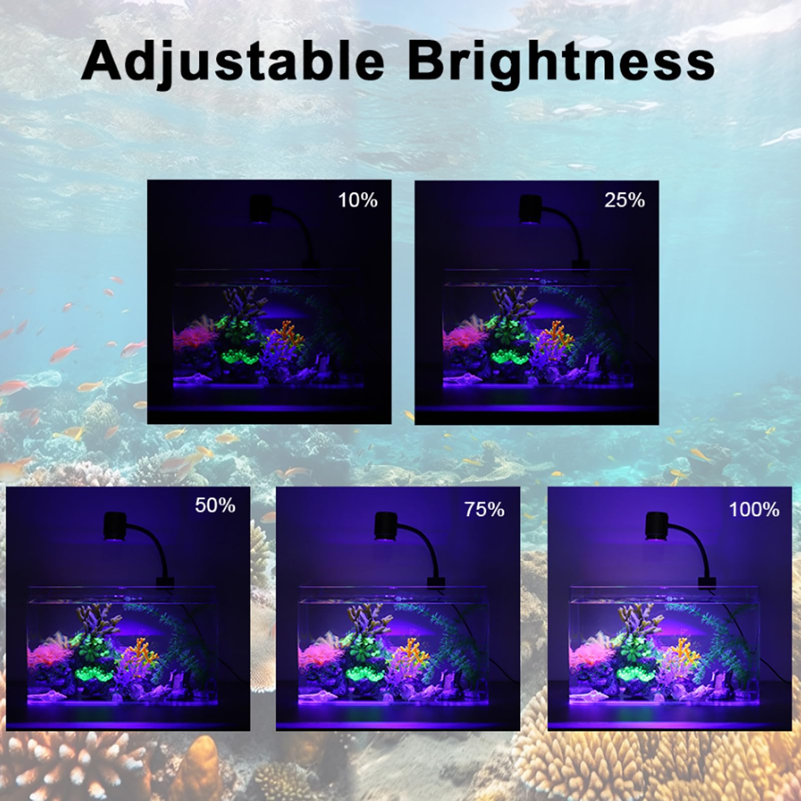 Lampada a morsetto LED 8W per acquario 24/7, 5 livelli luminosità 3 timer