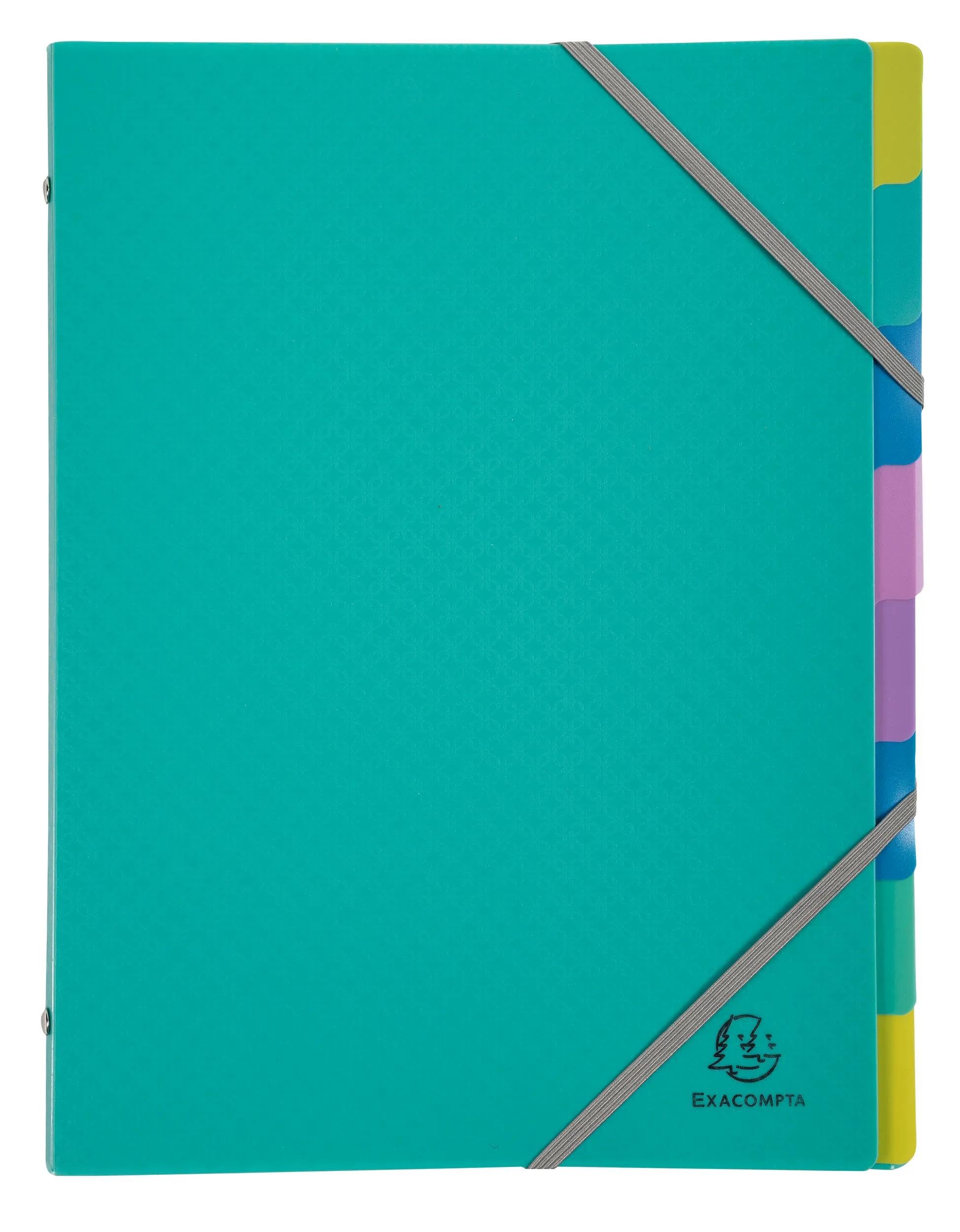 Exacompta, Ref 56190E, Box of 8 Forever Young File Boxes, 3 Flaps with Elastic Bands - Image 4