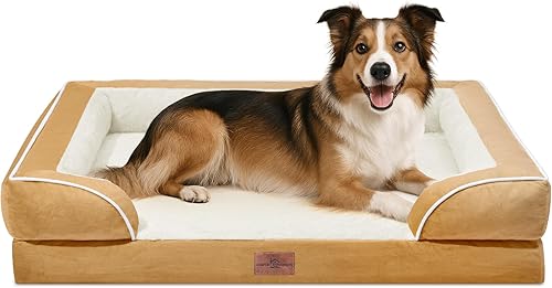 Miniatura 51 de Comfort Expression - Cama ortopédica perros pequeños, 20 x 14 pulgadas, impermeable, espuma soporte cartón de huevo, cojines extraíbles, sofá con