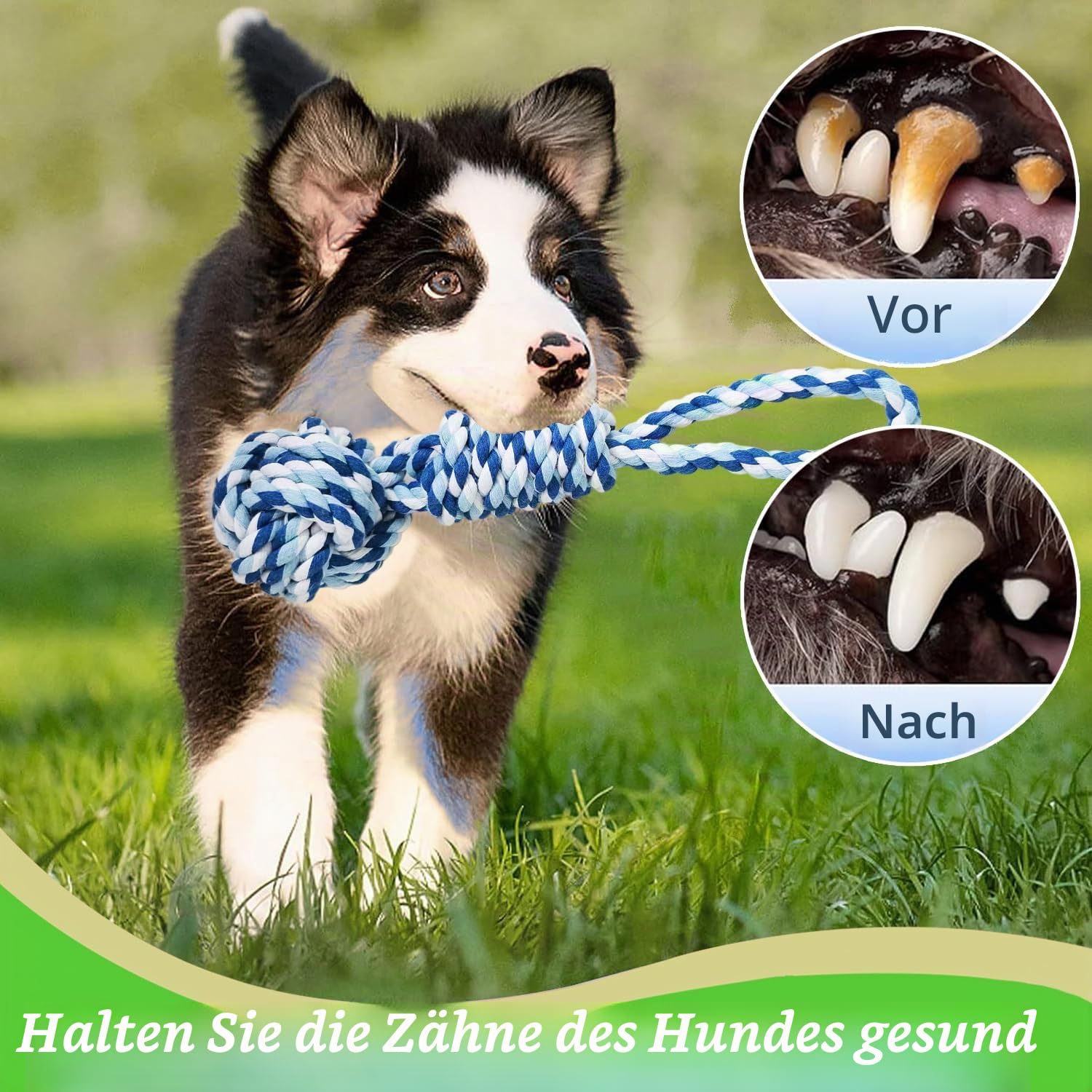 Bungee-Ziehspielzeug für Hunde, Outdoor Hundespielzeug zum Aufhängen mit 2 Kauseilen, Interaktives Tau Spielzeug Hunde Seil für Training Ziehen
