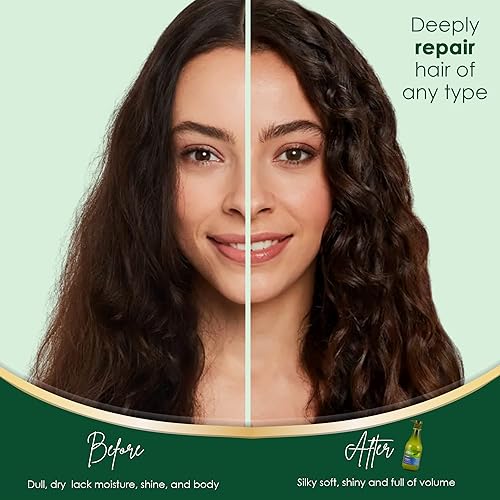 Miniatura 8 de Champú de oliva con aceite de oliva orgánico, rico en vitaminas A, D y E, champú hidratante para cabello seco dañado, champú sin parabenos, champú